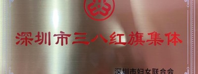 健康元集团荣获“深圳市三八红旗集体”称号