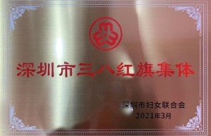 健康元集团荣获“深圳市三八红旗集体”称号