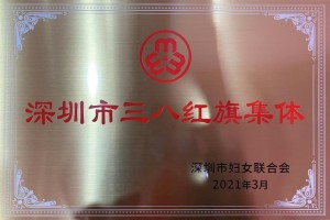 健康元集团荣获“深圳市三八红旗集体”称号