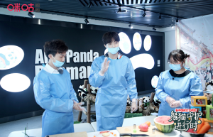 创新全场景沉浸式公益 咪咕联合成都熊猫基地开展“熊猫守护进行时”